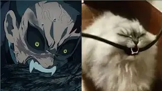 Demon Slayer Meme (DSMP 2)