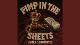 Pimp In The Sheets
