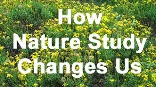 How Nature Study Changes Us