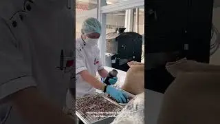 Terve Chocolate: Where Luxury Meets Ethical Craftsmanship