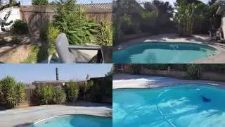 Tranquil backyard