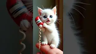 When AI Cat Start Talking&hellip; You Won&rsquo;t Stop Laughing! 🤖🐱    #catvideos  #ai #funny