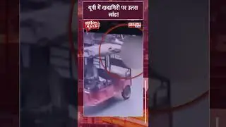 यूपी में दादागिरी पर उतरा सांड! #viralvideo #bull #trendingshorts #upviralvideo