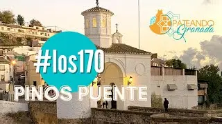 1/170: Pinos Puente