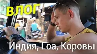 ВЛОГ: Индия моими глазами, Гоа