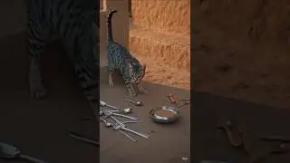 Cat and dog shorts story #Ai video #shortsfeed #shorts