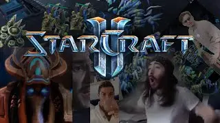 The sAaS Protonks | Starcraft 2 Gameplay | YTP & memes