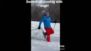 #Snowshoe #running #cavapoos #portuguesewaterdogs #newenglandliving