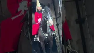 Конная гвардия