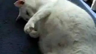 Lucky Luca