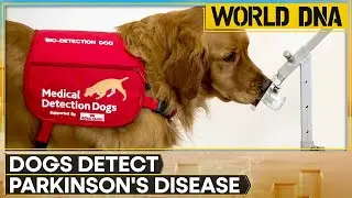 Trained Dogs Can Detect The Odor Of Parkinson's Disease | World DNA | WION