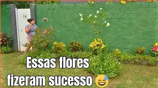 Manutenção no jardim da rua | Finalmente abriram as resedás que faltavam 🌸