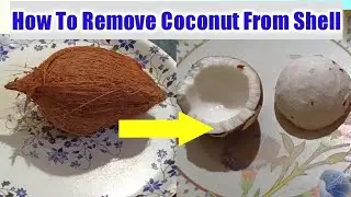 How To Easily Remove Coconut From Shell ll The Easiest Way To Remove Coconut Flesh From Shell
