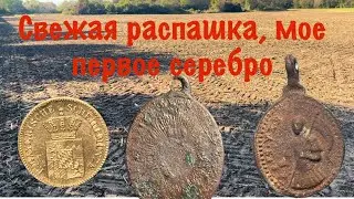 Первое серебро на новом поле. Коп с Nokta Makro Amfibio Multi