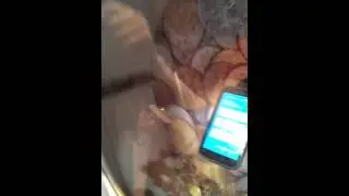 Motorola Defy @MWC2012.mp4