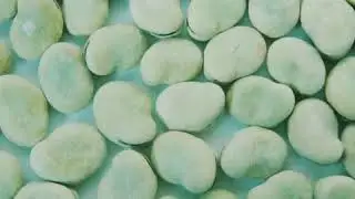 Frozen Broad  Bean-Xiamen Sharp Dragon