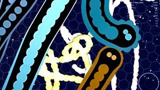 💥 +45 000 Score in Gulper.io!🐍 Massive Battles & Epic Plays!