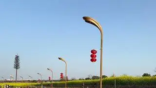 Chengdu Mustard yellow field walking tour ASMR China Ambience 🇨🇳【4K】| ASMR | WalkTube 4K