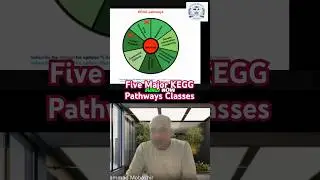 5 Biological Pathways: Unlocking Human Disease Secrets #shorts #viral #india #europe #arabic