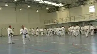 2009 SEMINAR SHIHAN FUNAKOSHI PORTUGAL
