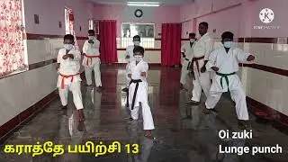 karate guide part 13                         Lunge punch and Reverse punch 2