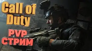 Call of Duty (2019) [PS4] | пулемёт и снайпа