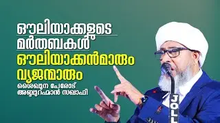 ഔലിയാക്കളുടെ മർതബകൾ | ഔലിയാക്കൻമാരും വ്യജന്മാരും | Perode Abdurahman Saqafi | Abu Rabeeh Media