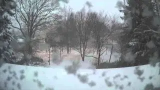 Snowzilla 2016 in Garrett Park