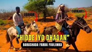 NIN FARDOOLEY AH OO INA BARAYA FARDA FUULKA SIDOO KALE KA WARAMAYA DHIB LOO GEYSTEY.