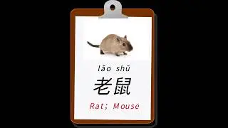 汉语学习 | Some Chinese words that have &ldquo;老&ldquo; but not about old   #shorts