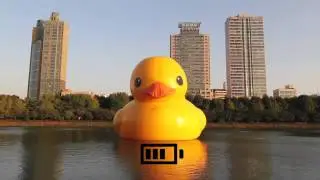 Rebirth Rubber Duck in Seoul, Korea