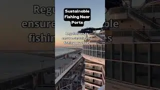 Sustainable Fishing: Portside Impact