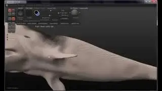Whale,  A 3D Tutorial using Scuptris, Blender3d, Vue, and Gimp - by Daniel Eskridge