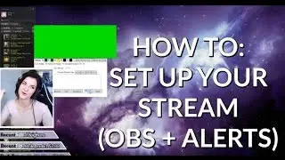 How To: SET UP YOUR OWN STREAM! (OBS + SubAlert) | Kitty Plays