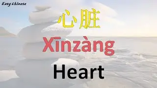 Internal parts and Organs | Easy chinese - Free Chinese lessons (Mandarin)