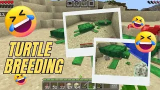 minecraft turtle breeding #minecraft 