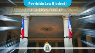 France's Constitutional Council Blocks Controversial Pesticide Law Amid Public Outcry