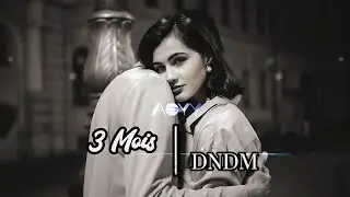 DNDM -🎶 Three Months (Official Audio) | French Indie Pop💘2026 [View Night]