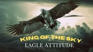 Eagles attitude, motivational speech eagle, Eagle is king of sky, be eagle motivational speech.
