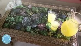 Learn & Do: How to Make a Terrarium Coffee Table - Home How-To Series - Martha Stewart