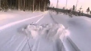Billig skotersladd av EUR-pall