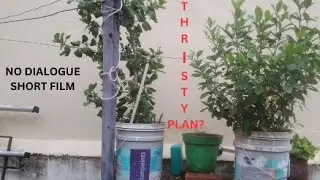 T H R I S T Y  P L A N ? ONE MAN NO DIALOGUE Short Film