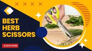 Best Herb Scissors In 2022