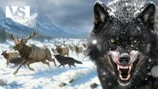 WINTER PREDATORS | The Realm of Apex Hunters in Extreme Cold &ndash; Documentary