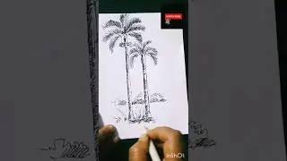 betelnut tree drawing #ytshort #art #drawing