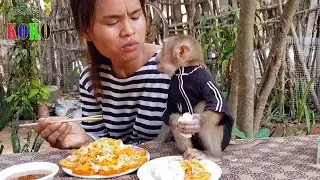 Obedient Monkey Koko Enjoy Eating Fried Noodle With Momma