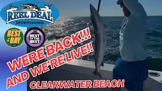 Fishing in the Gulf with Captain Steve on Reel Deal II