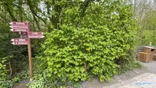 IRL Stream VOD | Affen und Vogelpark Eckenhagen | Tierpark | Sprechender Vogel | Twitch Stream |