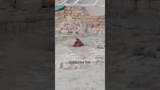 Morning Rooster Enjoying Dirt#viral #viralshorts #youtubeshorts