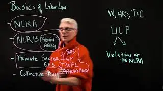 Basics of Labor Law
